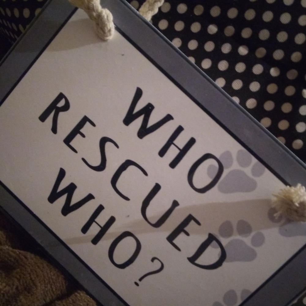 Who Rescued Who, Ceramic Wall Hanging